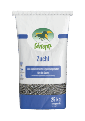 Galopp Zucht