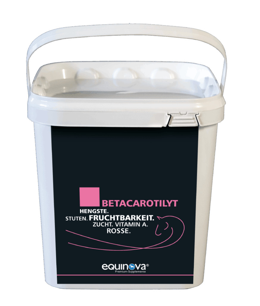 Equinova Betacarotilyt