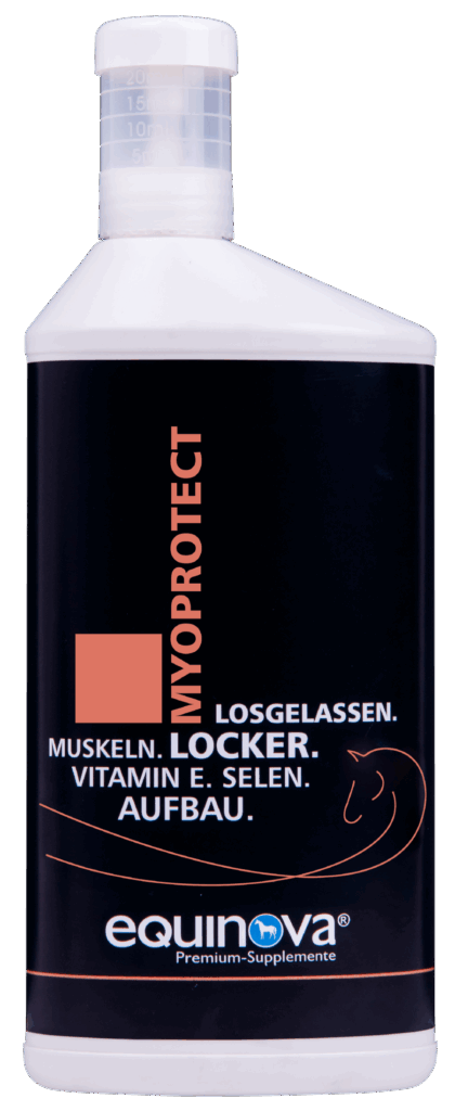 Equinova Myoprotect van Equine Feed, vloeibaar aanvullend supplement voor spierherstel bij sportpaarden
