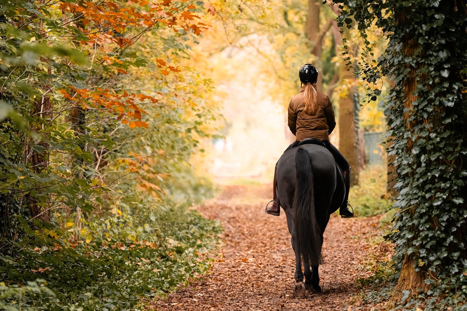 Herfsttips voor paarden van Equine feed