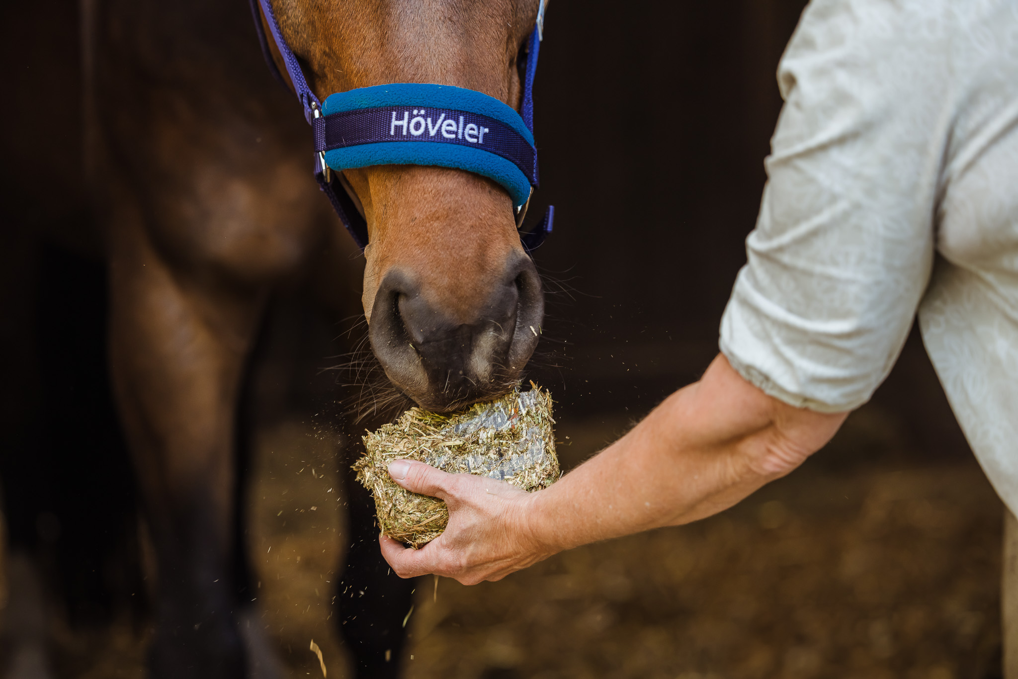 hoveler kopen in Nederland