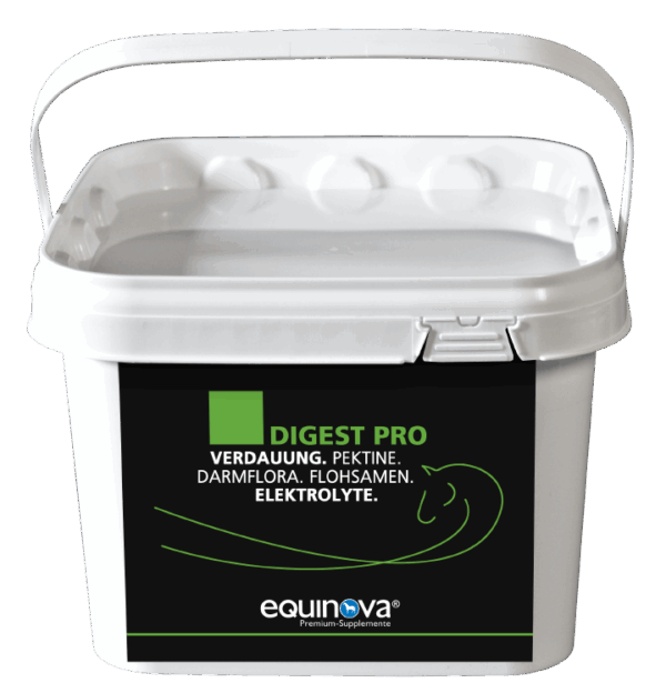 Equinova Digest Pro van Equine Feed ondersteunt de spijsvertering van paarden en bevordert een gezonde darmflora